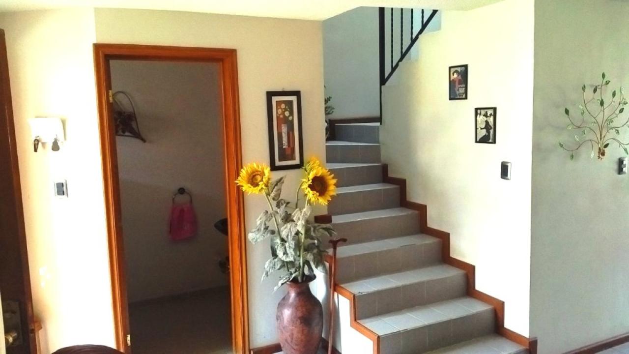 Baño en planta baja