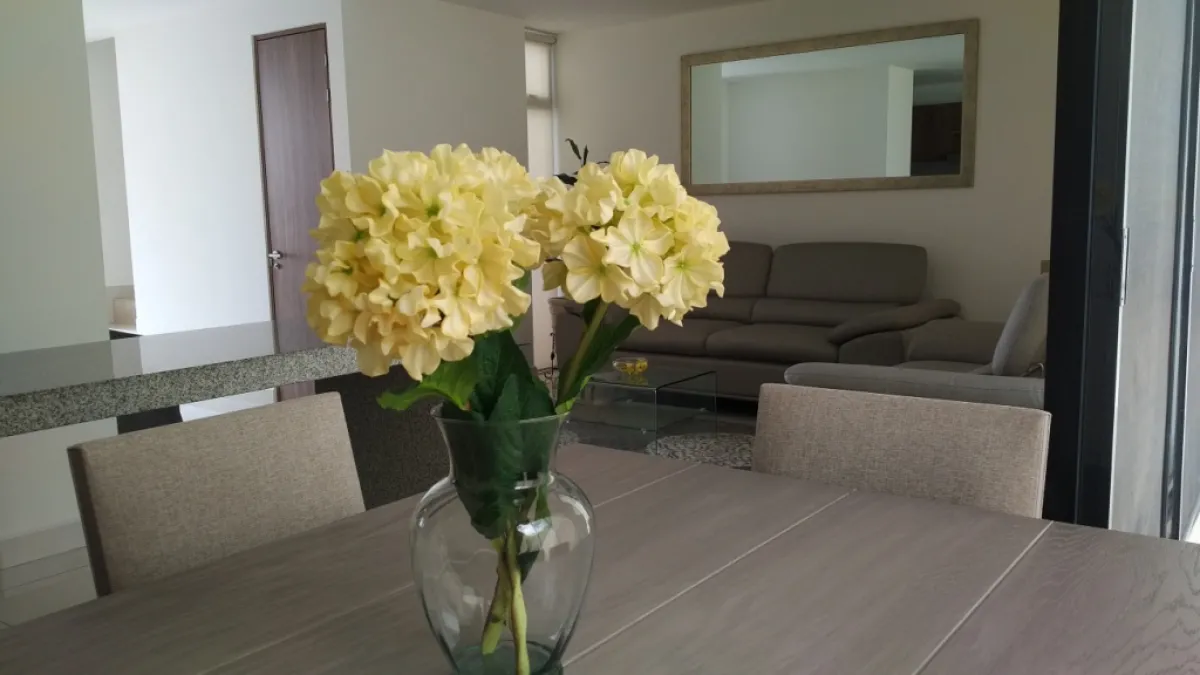 Casa en Renta - Juriquilla, Querétaro